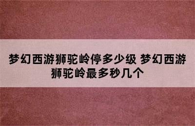 梦幻西游狮驼岭停多少级 梦幻西游狮驼岭最多秒几个